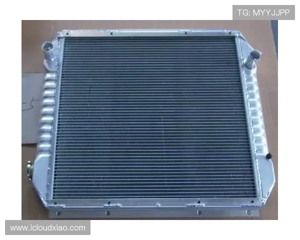 挖掘机散热器盖压力阀